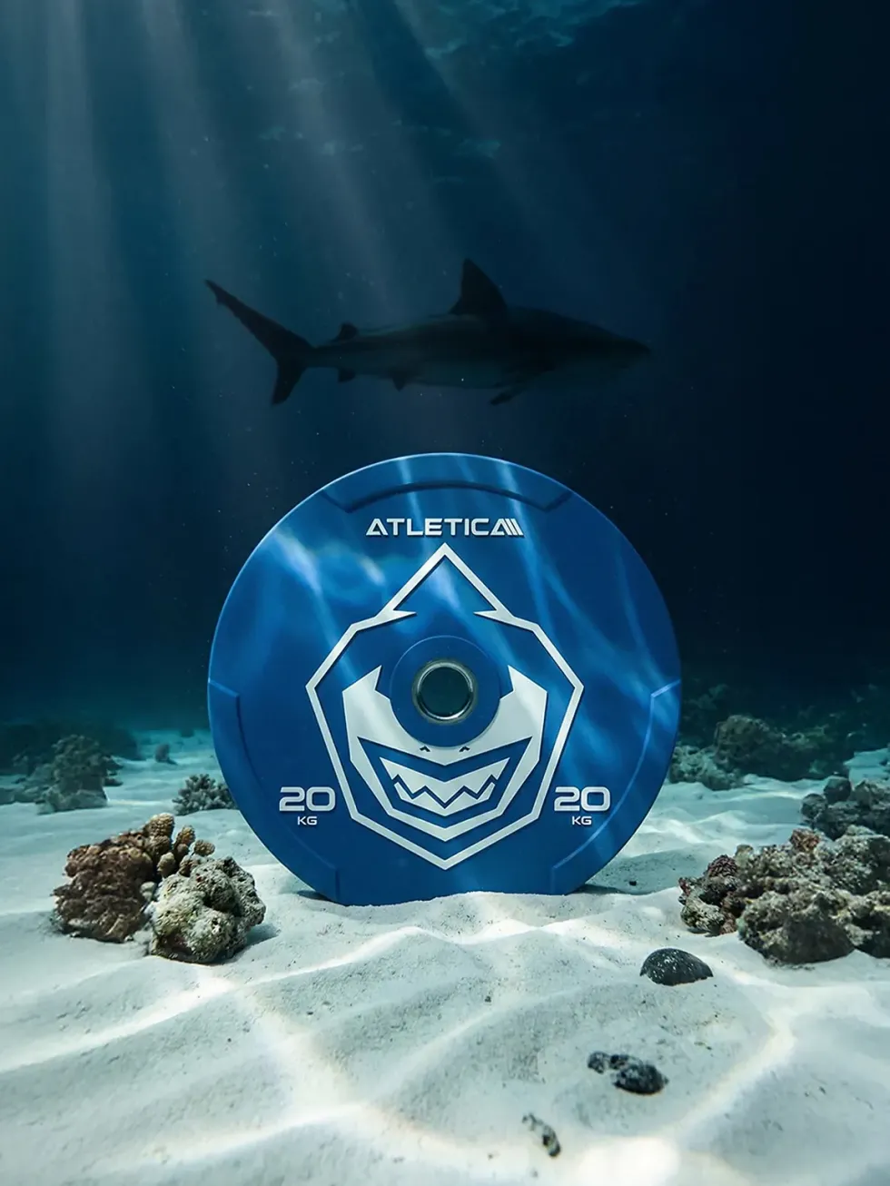 Animal Bumper Plates | SET
