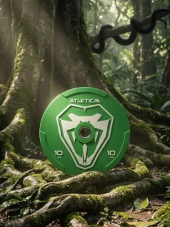 Animal Bumper Plates | SET