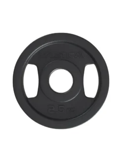 2H Iron Plates | 2.5kg | Paar