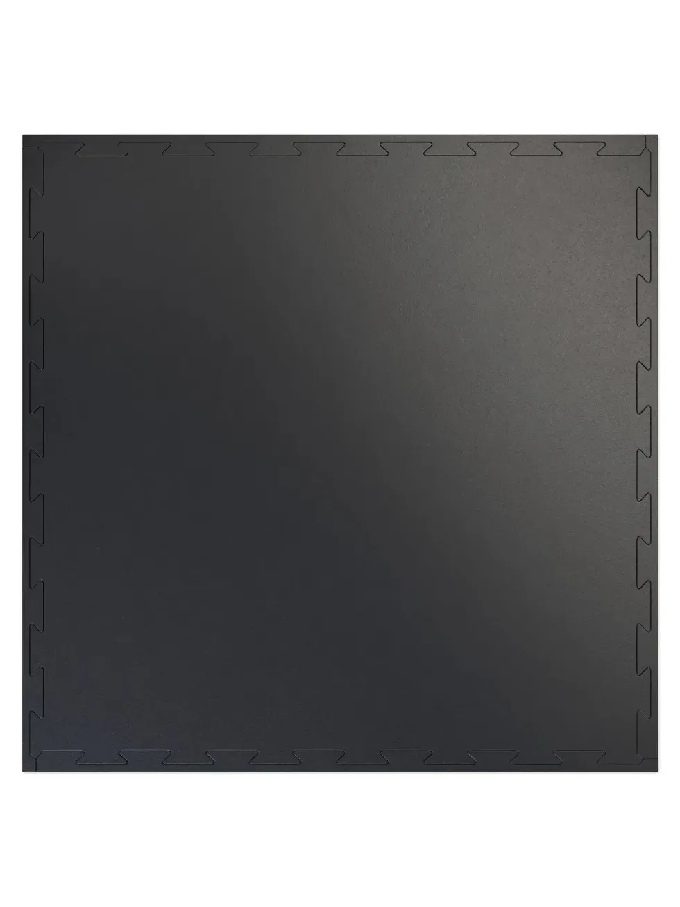 1m² FlexProtect 10mm Puzzlematte | 100x100cm