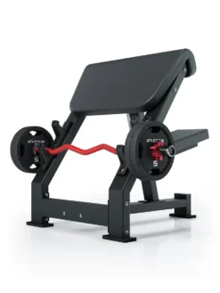 Preacher Curl I Bizepsbank