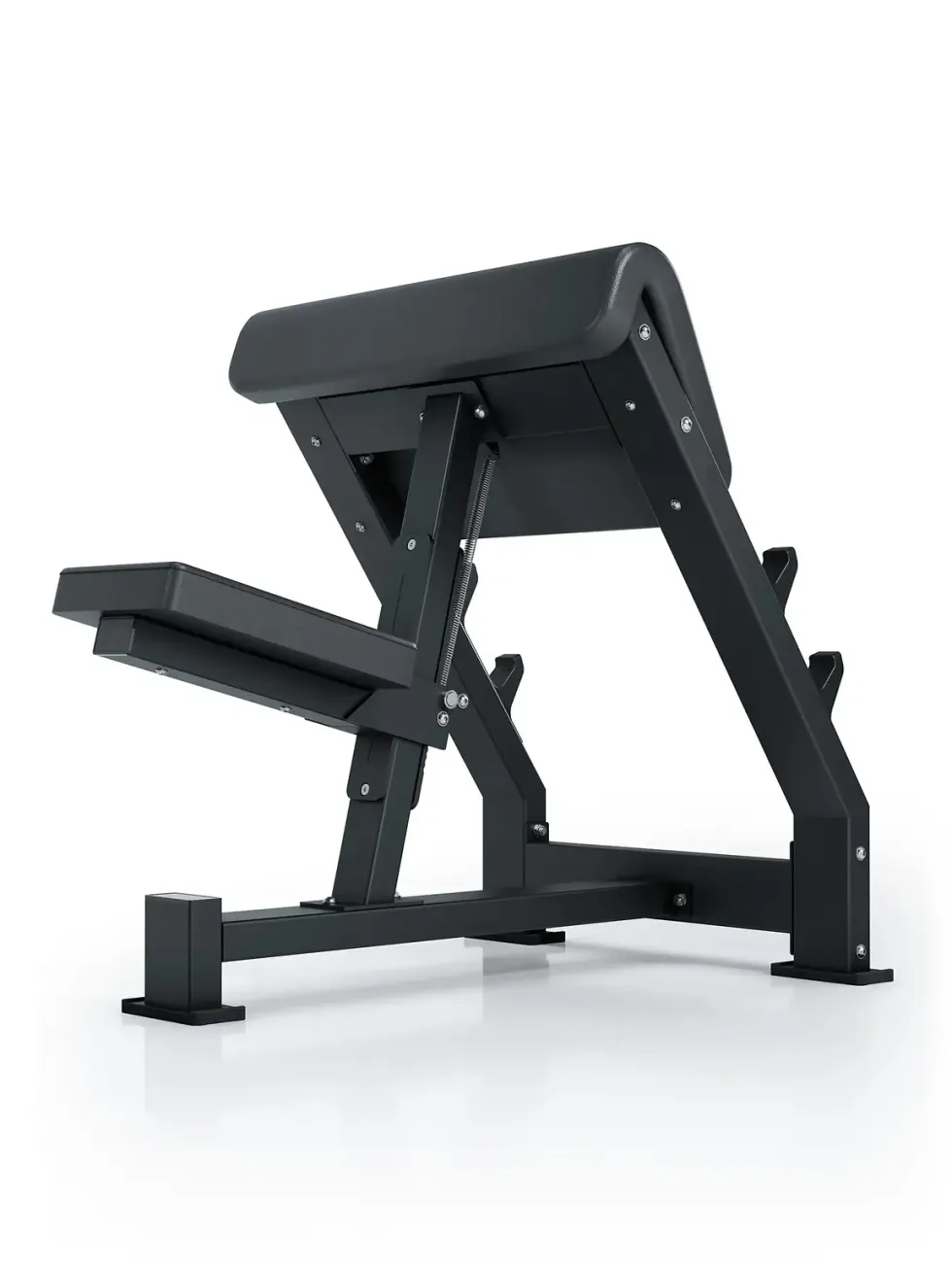 Preacher Curl I Bizepsbank