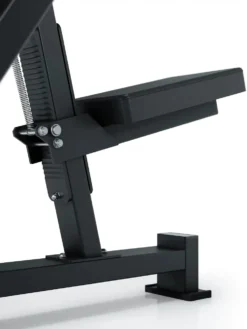 Preacher Curl I Bizepsbank