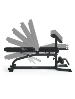 X-Bench Hantelbank