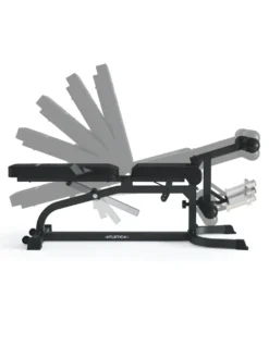 X-Bench Hantelbank